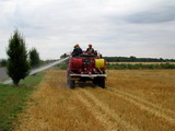Manoeuvre feu de chaume
